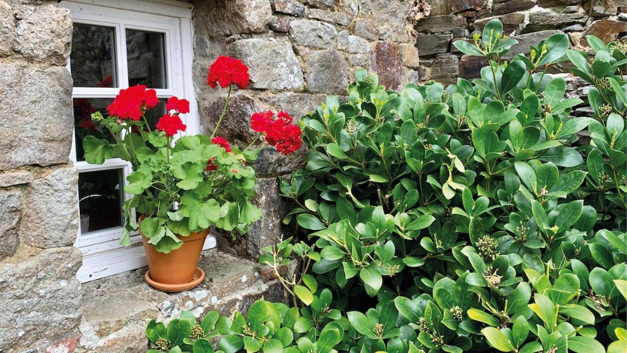 Manoir De La Begaudiere Mont-Dol Zewnętrze zdjęcie