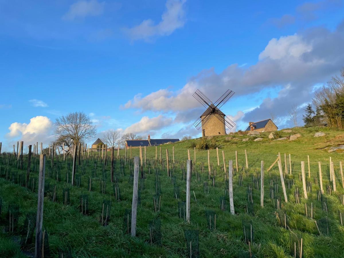 Manoir De La Begaudiere Mont-Dol Zewnętrze zdjęcie